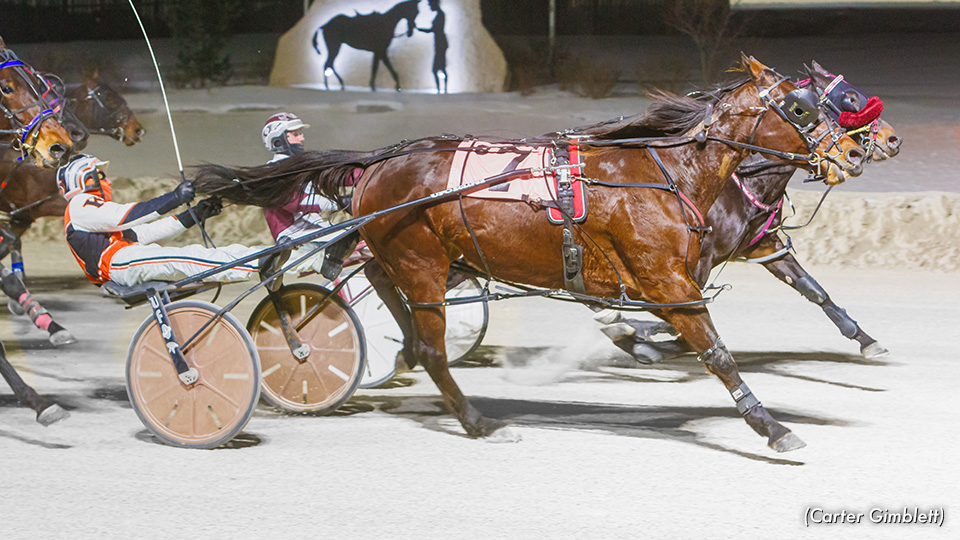 'Jessie,' So Frisky Inseparable