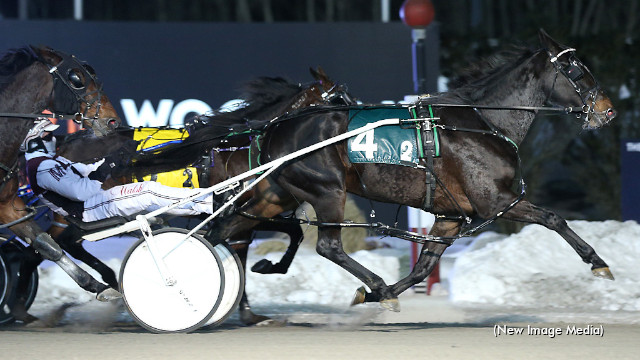 Blizzard Begins At Mohawk Park