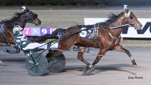 Gingras Wins Six At 'Big M'