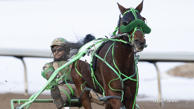 Canadian Pharoh Clings To Victory