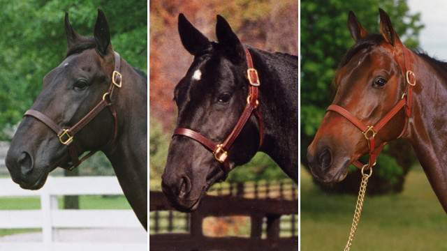 Living Hall Of Fame Inductees Announced