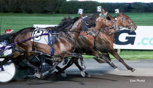 Meadowlands Staking Reminders
