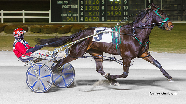 Privilege ‘Pops’ In Flamboro Series Privilege ‘Pops’ In Flamboro Series