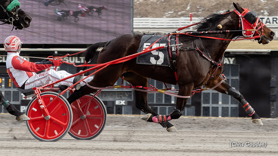 Cays Blessing Wins Fourth Straight At Meadows