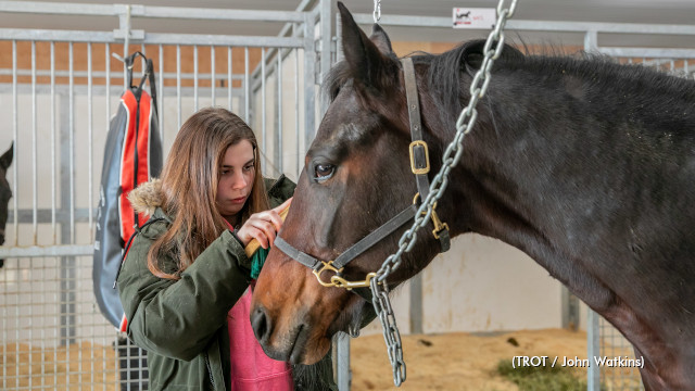 For The Love Of A Horse