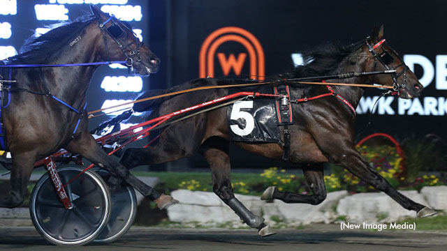 Last Call For SBOA Stallion Auction