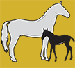 Straight From The Horse's (Stallion Farms') Mouth