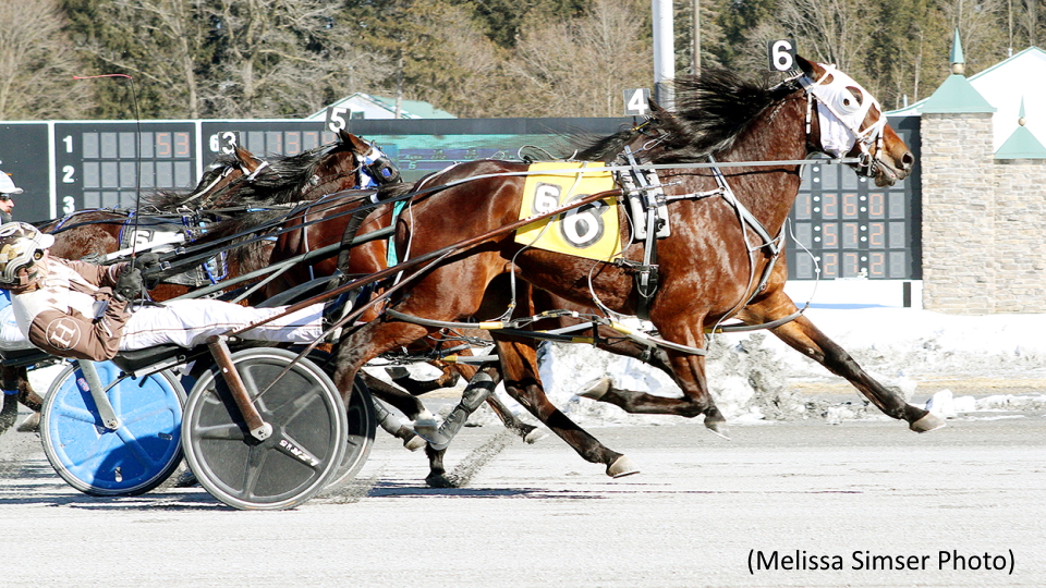 Chasethecloudsaway Clicks In Saratoga Open
