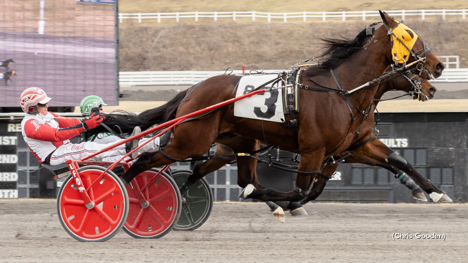 Meadows Open To Dorsoduro Hanover 