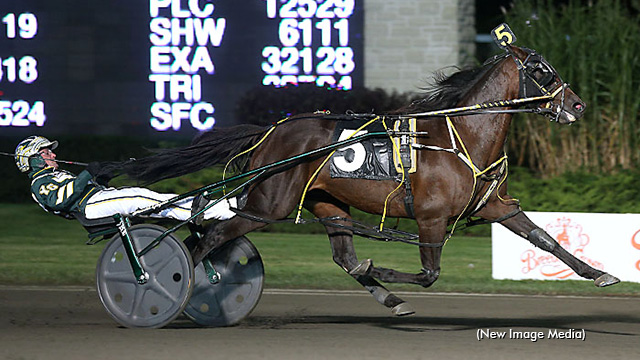 Shenandoah Announces Opens, Foiled Again Appearance