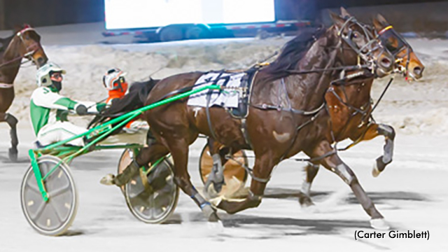 Franks Angel First In London