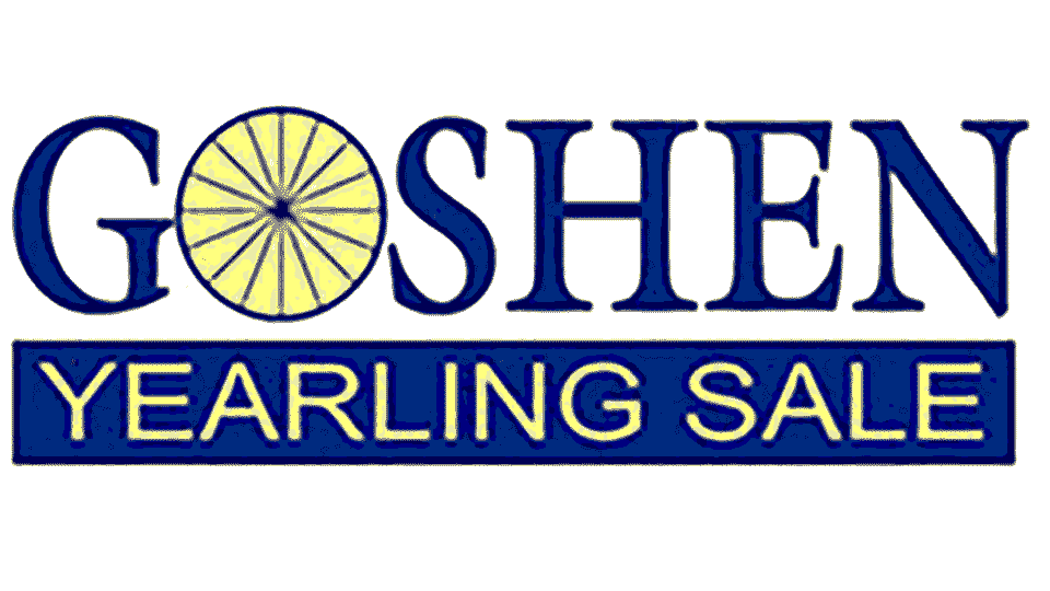 Goshen Yearling Sale Catalogues Available
