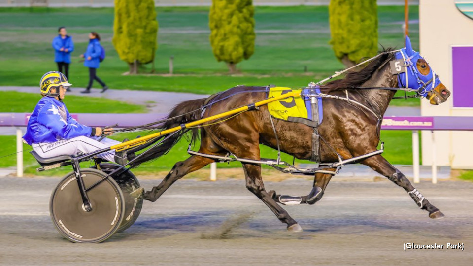 Doctor Finds Racing A 'Great Outlet'