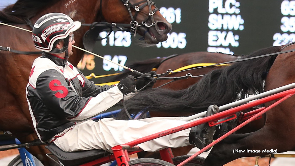 Steacy Back In The Bike At Rideau