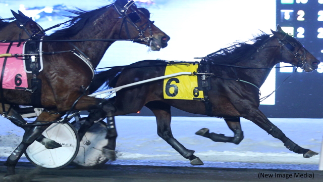 Patriarch Hanover Prevails In Mohawk Park's Top Trot