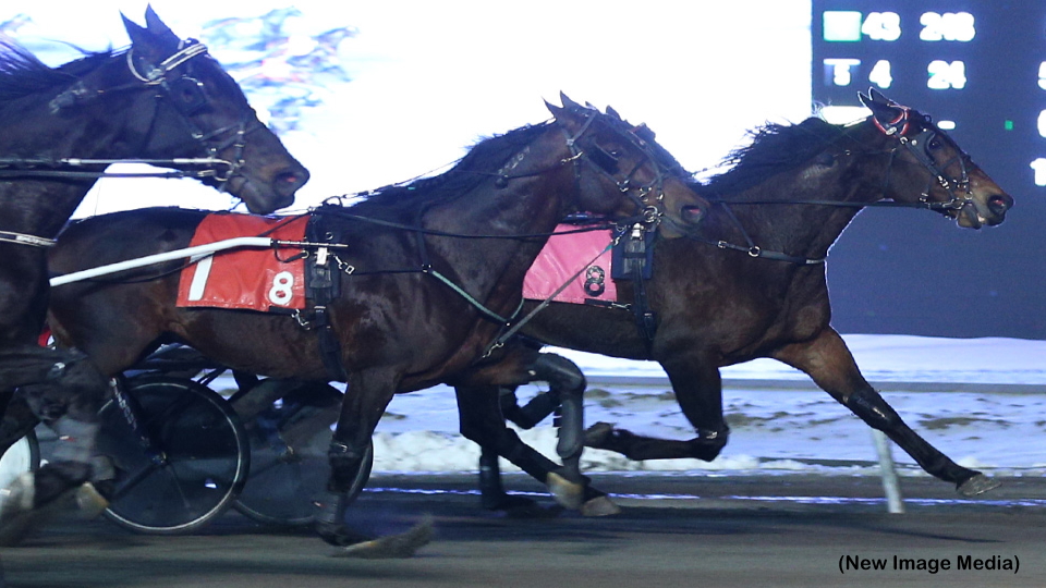 Perfetto Ekes Out Preferred Triumph