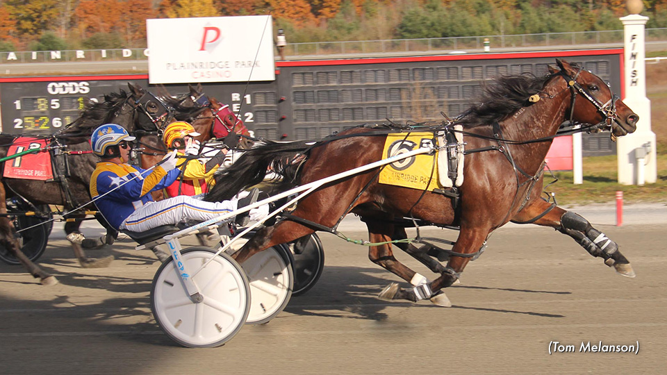 Massachusetts Sire Stakes Payment Advisory