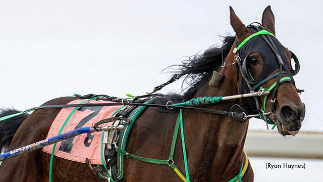 More Than Just A Consistent Winner