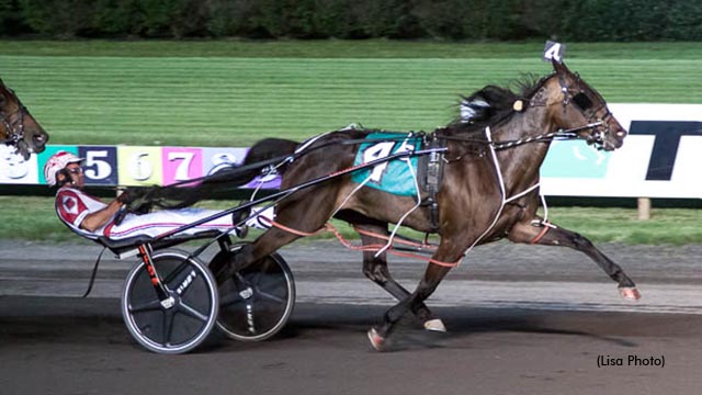 Preferred Mares Highlight Big M Weekend Of Racing