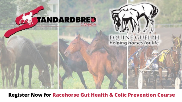 Free Registration For Racehorse Gut Health Course