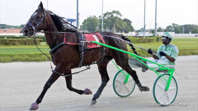 Serendipity Shines On Hays And Trotter