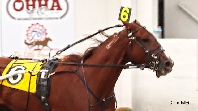 'Red' Comes Up Big For Dailey