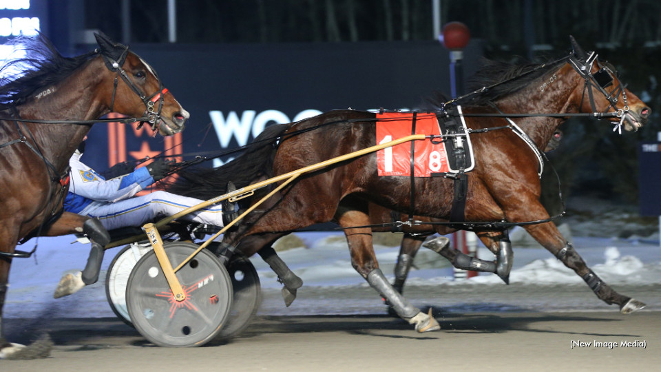 Spartan General Doubles Up In Preferred