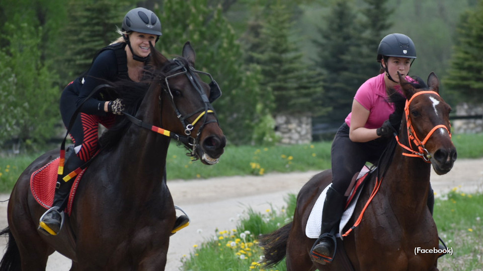 From Trotter To Trailblazer