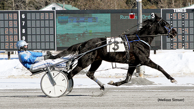 Squee Hanover Back To His Winning Ways