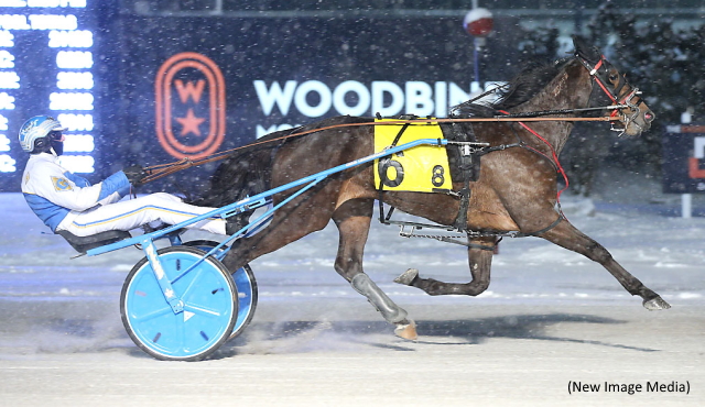 Wine & Roses Romp For Stonebridge Strong