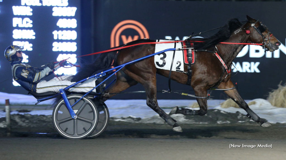 Truffles Too Sweeps Family Day Trotting Series