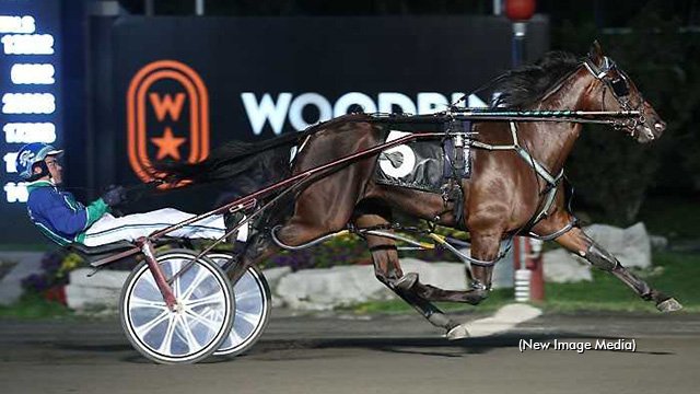 First Foal For Tall Drink Hanover