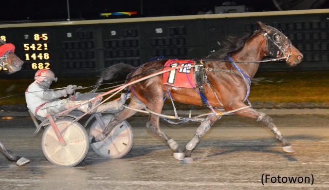 Dover Grand Slam For Tarkio
