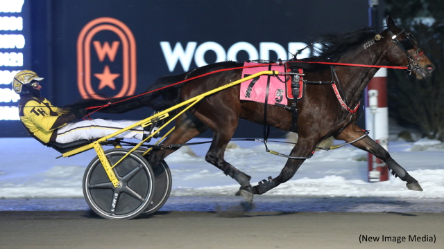 Truffles Too Triumphs In Family Day Trotting Series Truffles Too Triumphs In Family Day Trotting Series