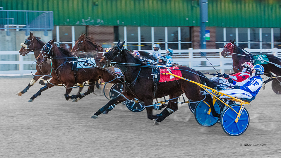 Ouellette Exactor In London Distaff
