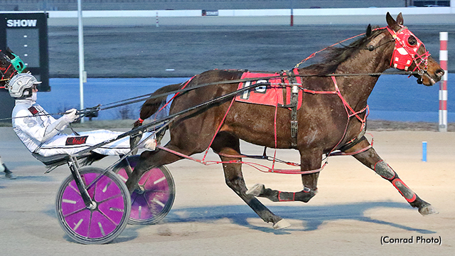 Ageless Wonders On Display At Miami