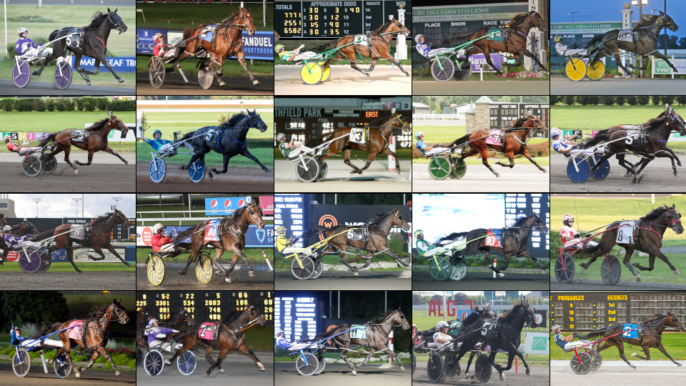 Which Horse Has The Best Chance To Repeat?