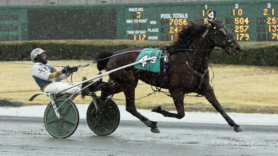 Allindotime For Lee At Freehold