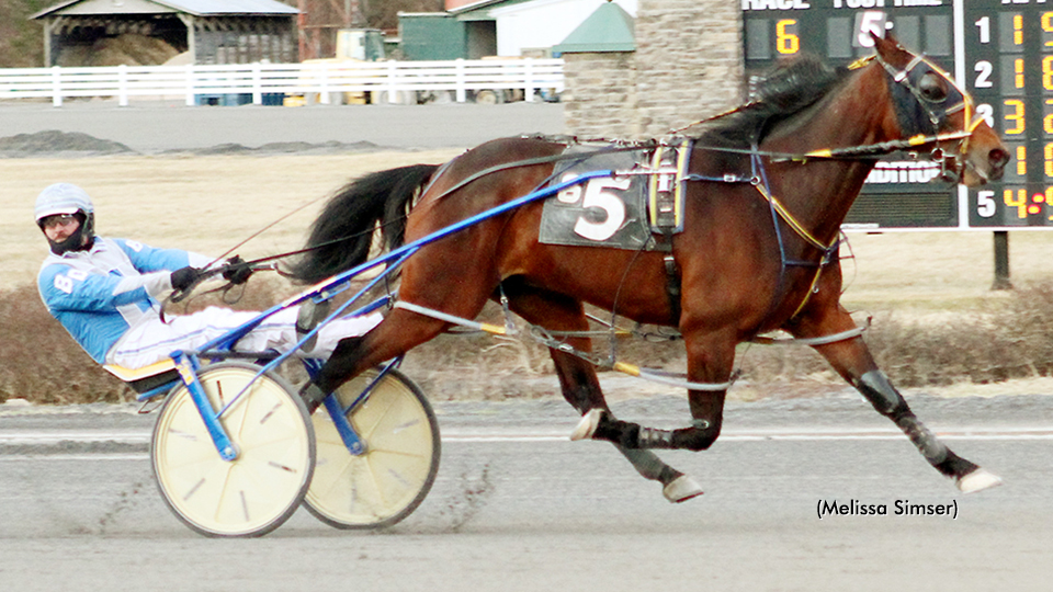 Artful Way Wins Again In Saratoga