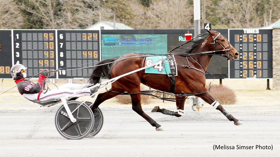 Saratoga Open To Birch Island Betty
