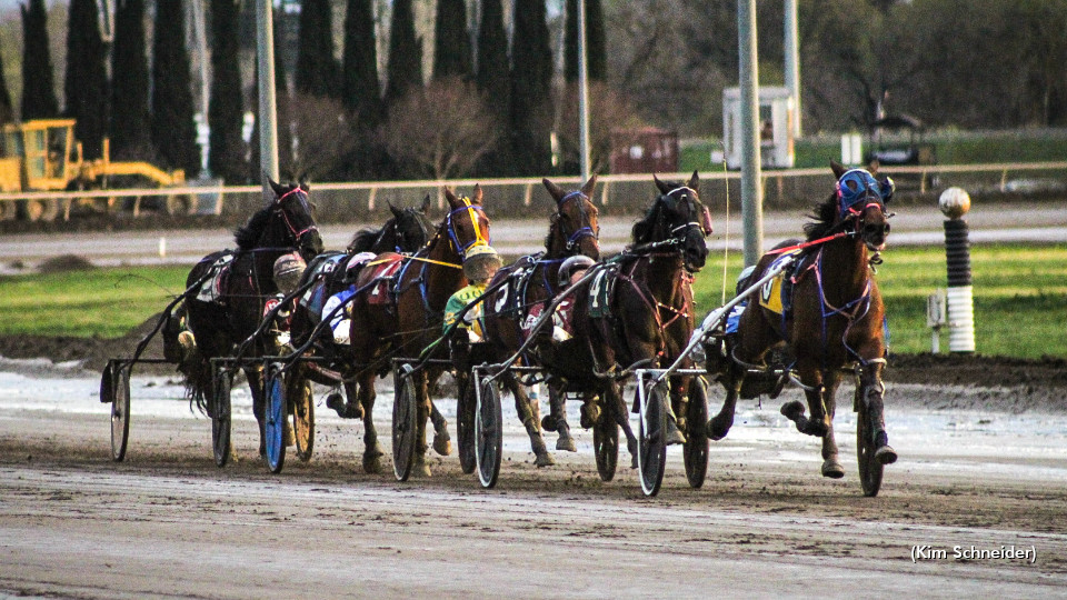 Tutto Bene Gets Thumbs Up For California Stakes