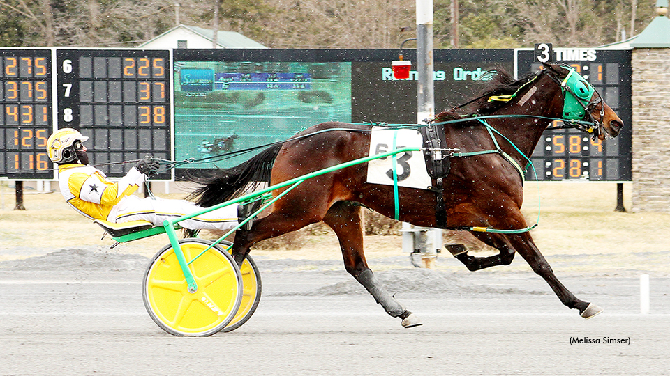 Cash Me Out Returns To Saratoga Winner's Circle