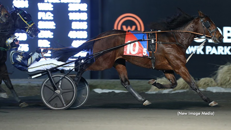 Cindy Lynn: The ‘Absolute Angel’ Trotter