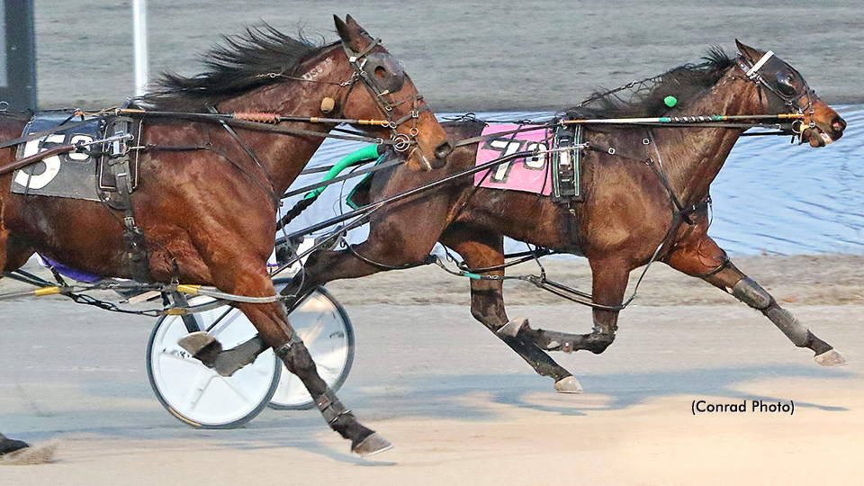 Speed On Display In Williams Prelims