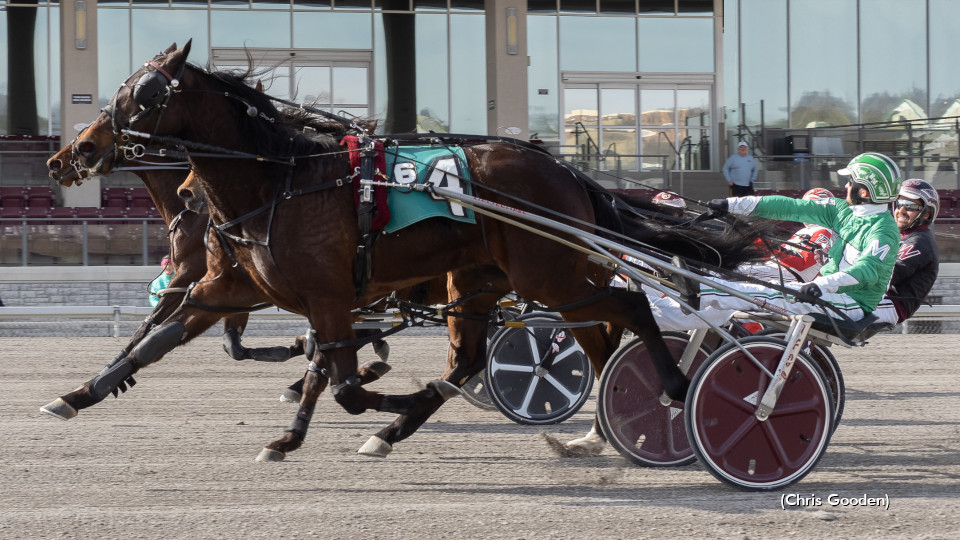 Darwin Best In Zendt Opener