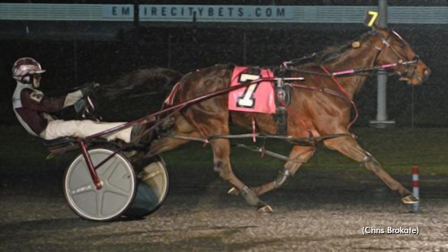 Dragon Said, Bartlett & Betting Hot At Yonkers