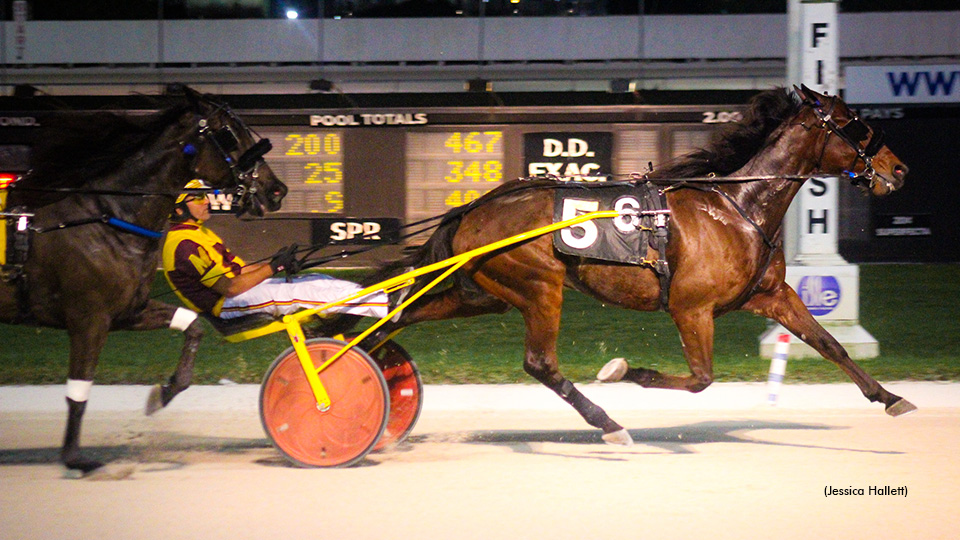 Flagman Interrupts Stablemate's Win Streak