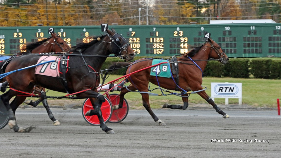 Freehold To Host Themed Races Saturday Freehold To Host Themed Races Saturday