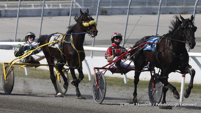 Stormont Leslie Scores In Prospect Series Stormont Leslie Scores In Prospect Series