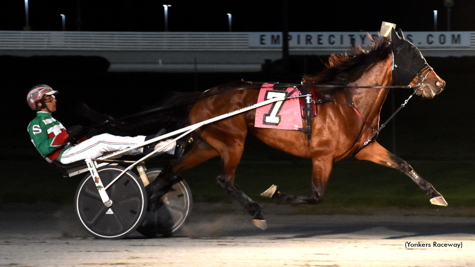 Hey Livvy Holds On In Yonkers Preferred